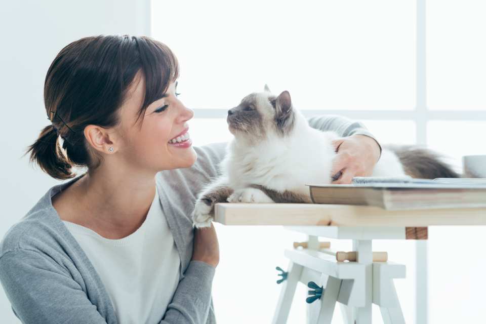 FAQs Grayslake Animal Hospital