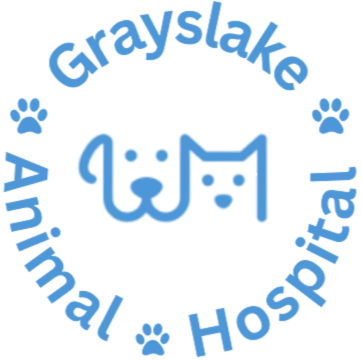 Grayslake Animal Hospital